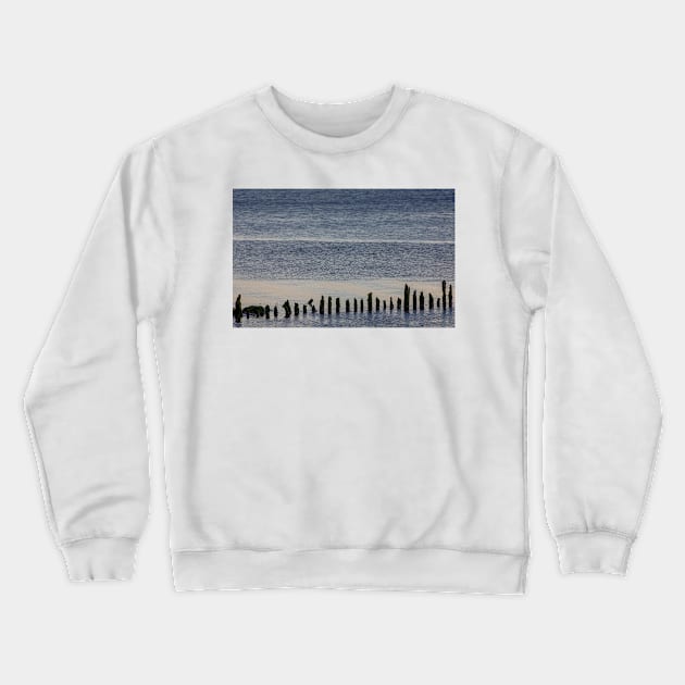 Wooden stumps in the River Clyde, Scotland Crewneck Sweatshirt by mbangert